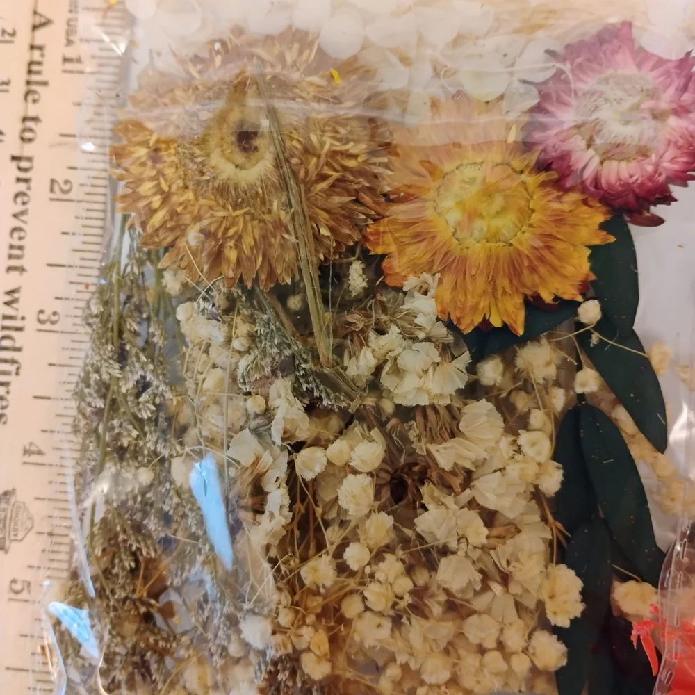 Pressed Dried Flowers Dry Resin Crafts Red Orange Yellow Scrapbooking Wedding